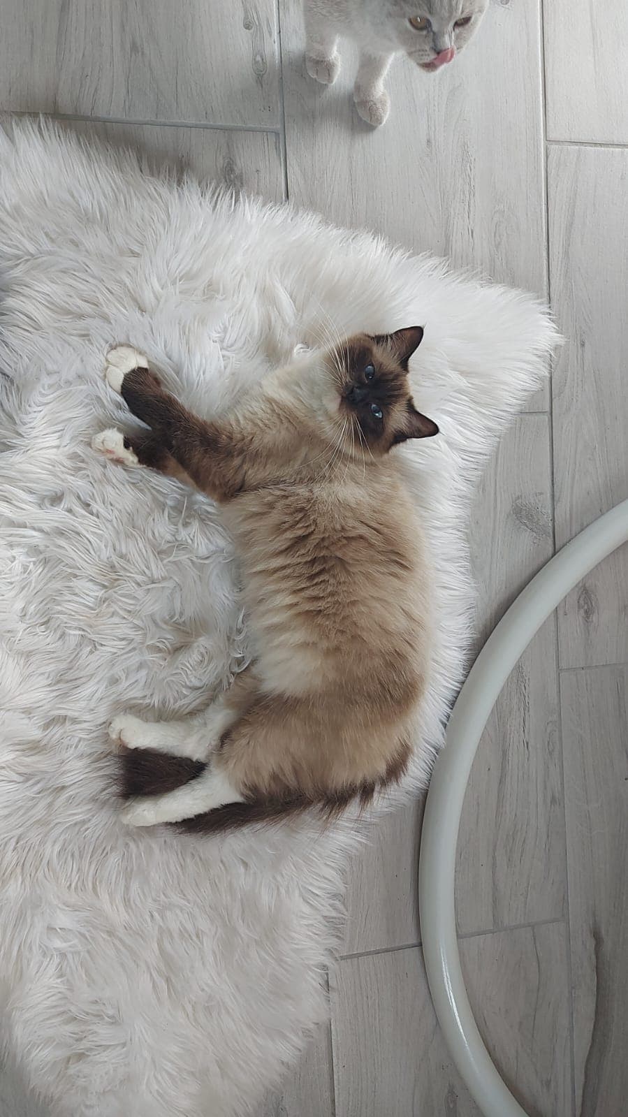 Wendy - zdjęcie 1